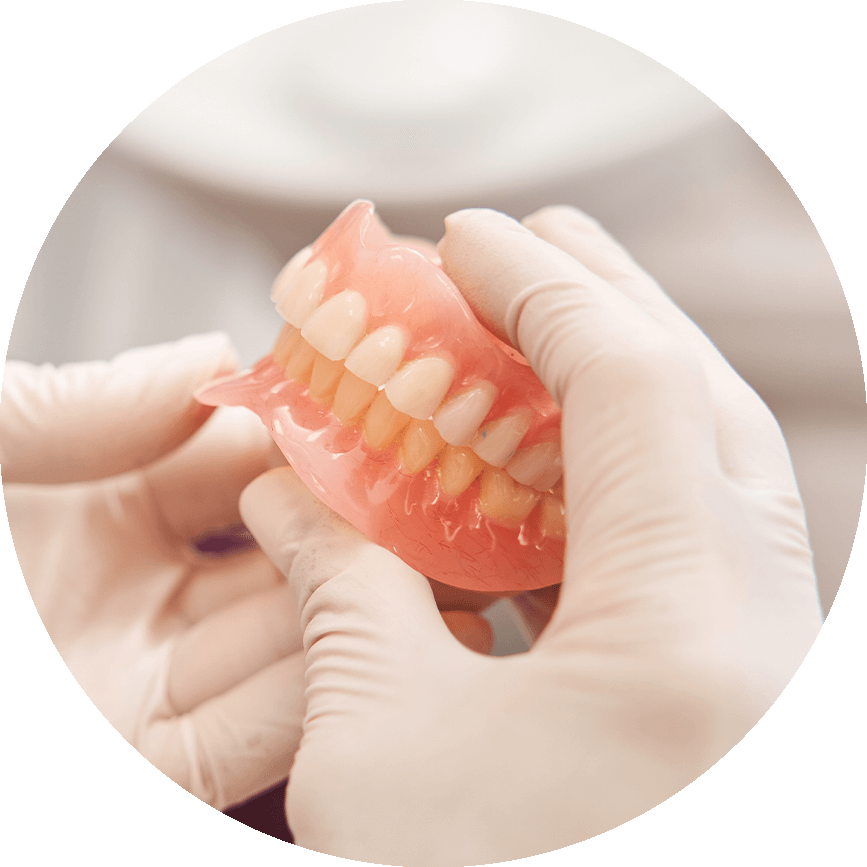 Removable Dentures Model